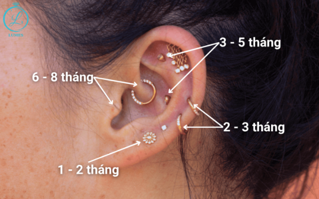 bấm khuyên tai bao lâu thì lành
