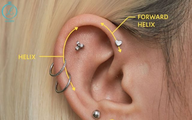 Helix (vành tai trên)