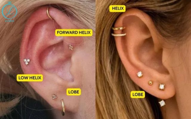 Forward Helix (vành tai trước)